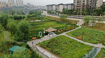 北碚區(qū)梁灘河內(nèi)源整治及清淤工程